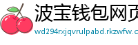 波宝钱包网页版下载